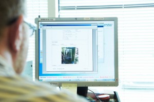 A person reviewing audit data for a sample on a computer